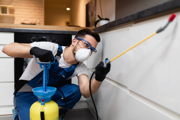 Best Pest Inspection Near Me  in Ladue, MO