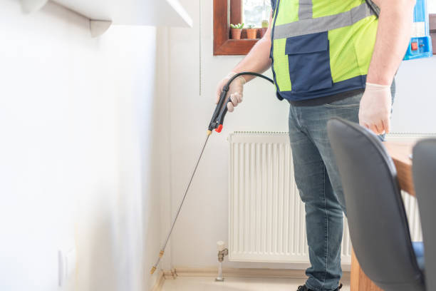 Best Flea Control Services  in Ladue, MO