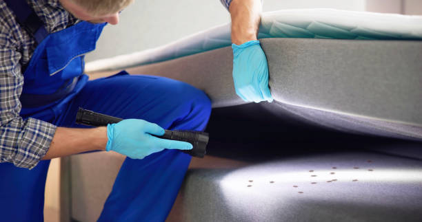 Best Best Pest Control Companies  in Ladue, MO