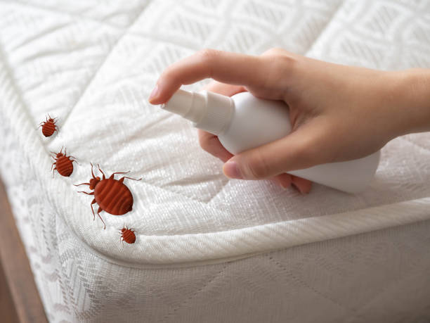Best Emergency Pest Control  in Ladue, MO