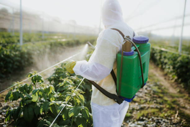 Best Exterminator Services  in Ladue, MO